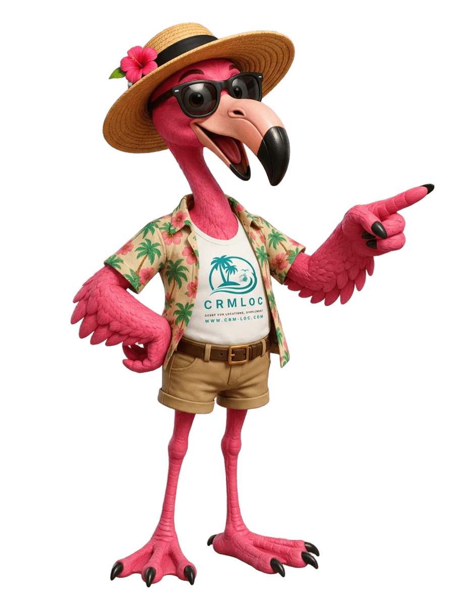 LOCO pointer